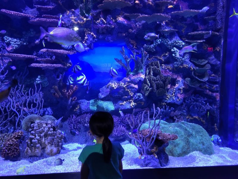 Tennessee Aquarium, Chattanooga