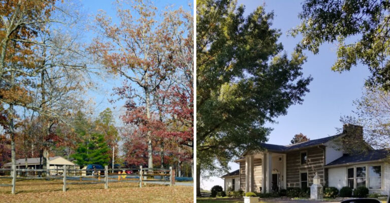 10 Hidden Small Towns In Tennessee You’ll Be Surprised You’ve Never Heard Of