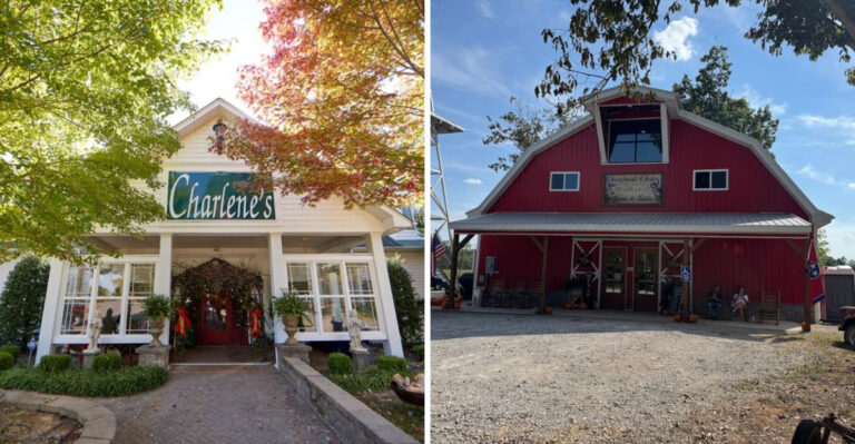 10 Middle-Of-Nowhere Restaurants In Tennessee That Are Worth The Drive In 2026