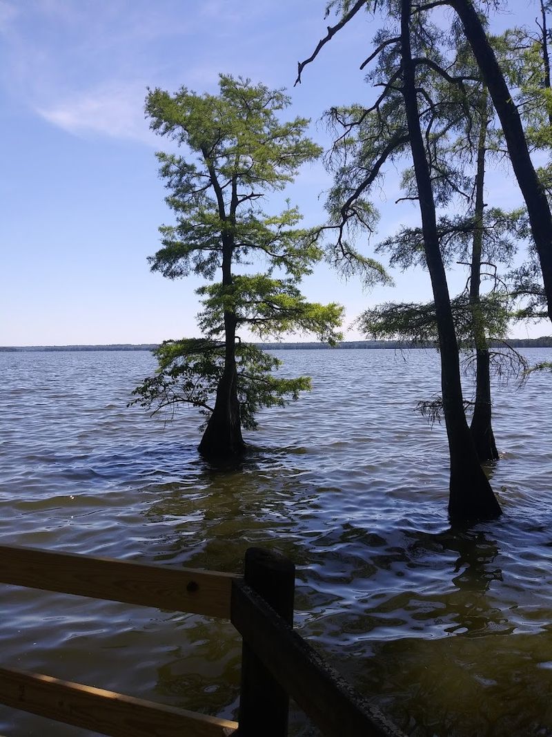 Reelfoot Lake