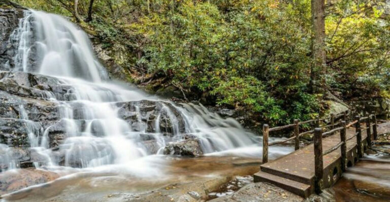10 Waterfall Hikes In Tennessee That Will Impress You With Natural Beauty