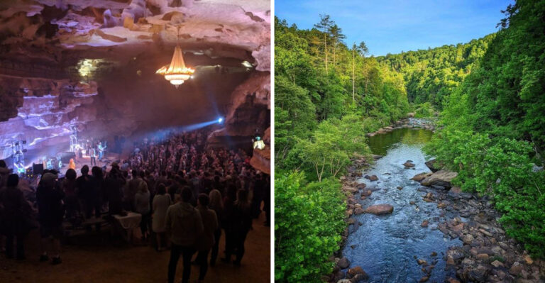 11 Unique Tennessee Experiences To Add To Your 2026 Bucket List