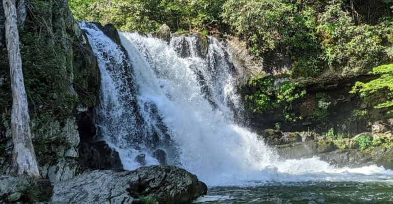 12 Beautiful Waterfalls Hidden Away In Tennessee’s Wilderness