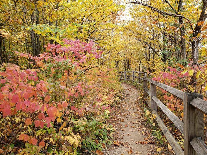 Thacher State Park (Voorheesville, Albany County)