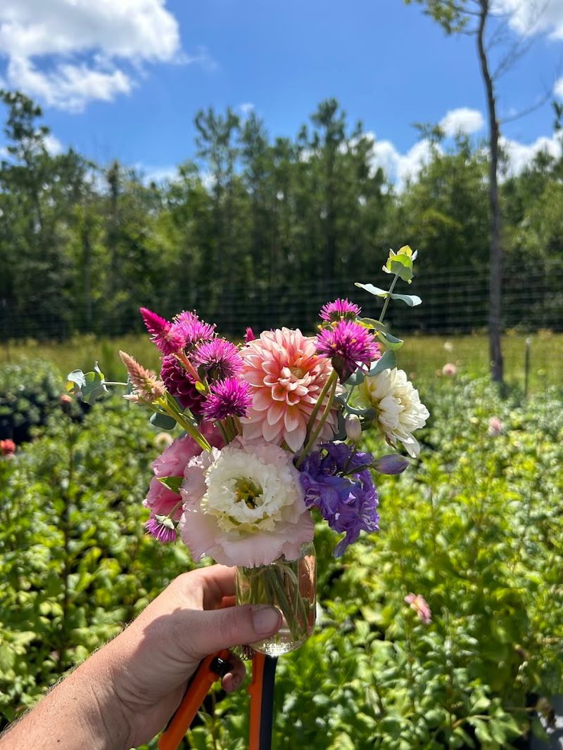 Wild Goose Flower Farm