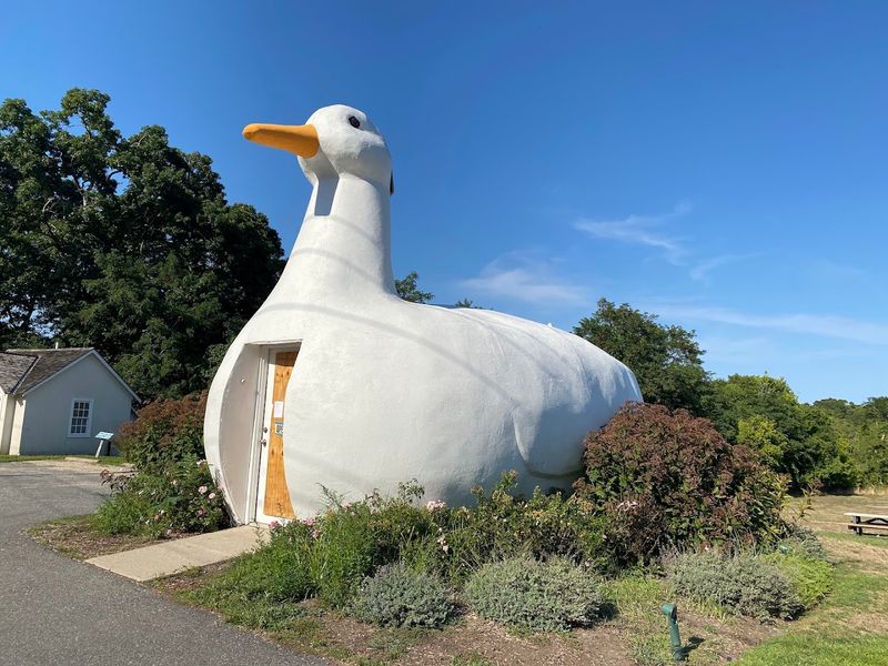 The Big Duck — Flanders