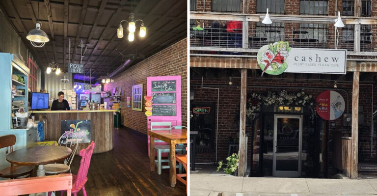 9 Vegan Restaurants In Tennessee That Are An Absolute Must Try In 2026
