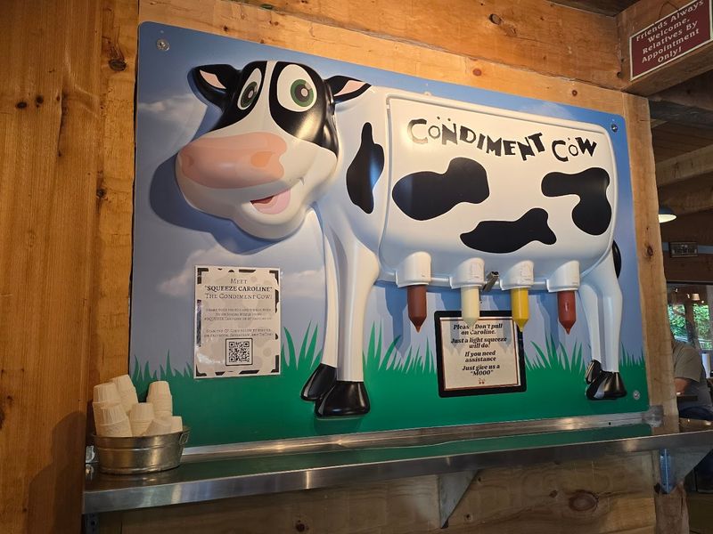 The Famous Condiment Cow Named Caroline