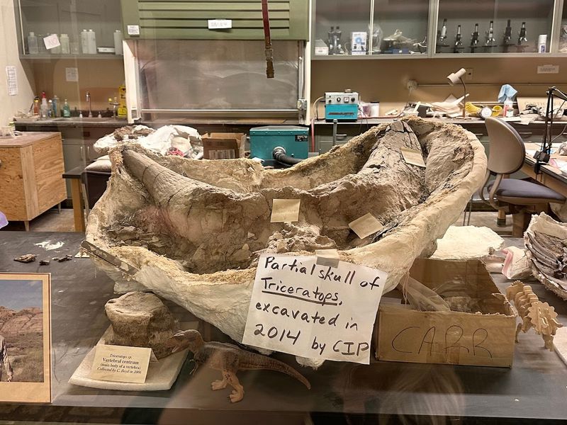 An On-Site Fossil Preparation Lab