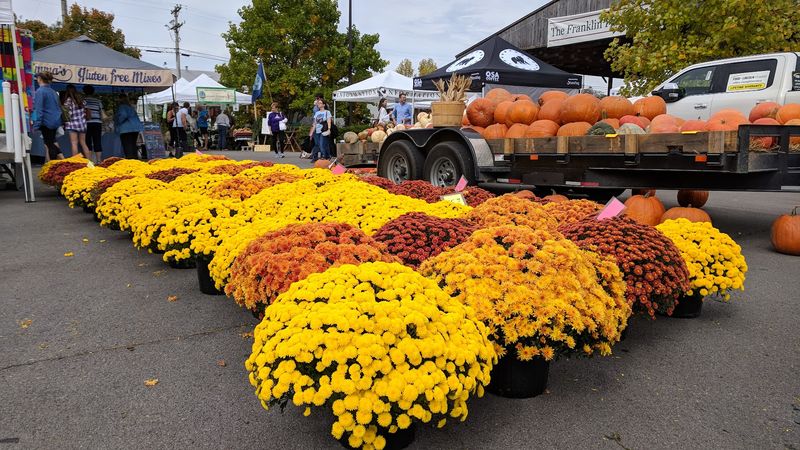 Flowers, Plants, And Seasonal Finds That Brighten Any Home