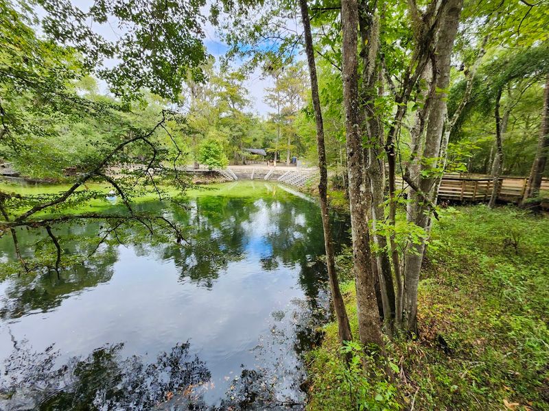 How Poe Springs Park Became A Hidden Natural Treasure