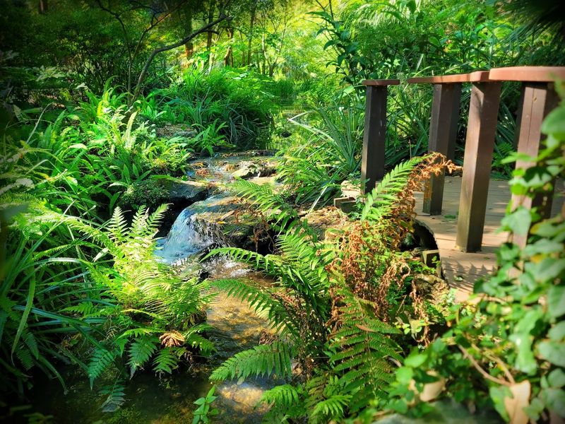 A Peaceful Walking Garden Where Visitors Can Slow Down And Explore