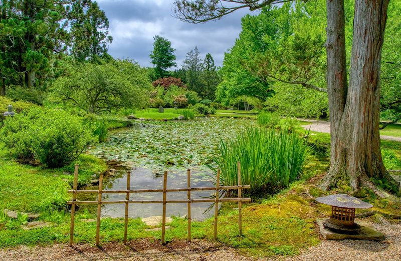 Hammond Museum And Japanese Stroll Garden: What You Actually Need To Know Before You Go