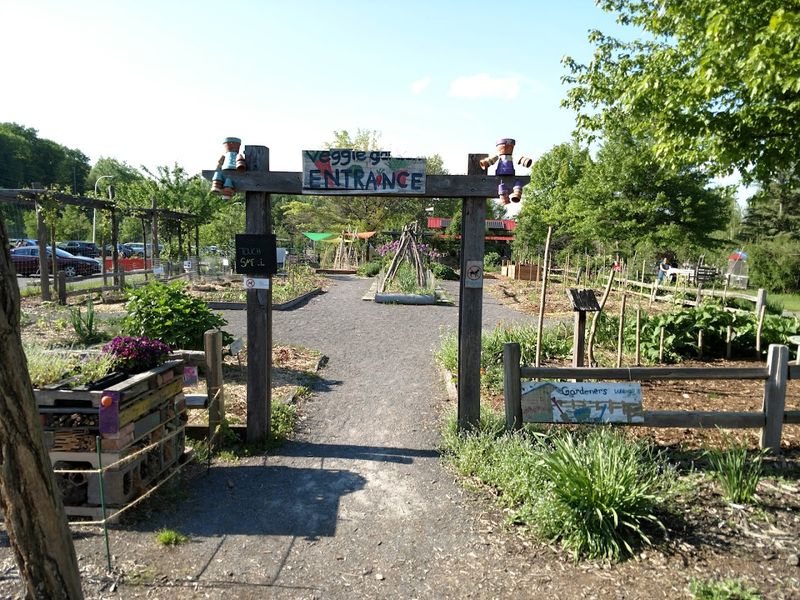 The Ithaca Children's Garden And Why It Belongs On Your Family Map