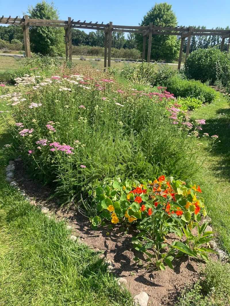 So Large It Can Be Spotted On Google Earth From Above