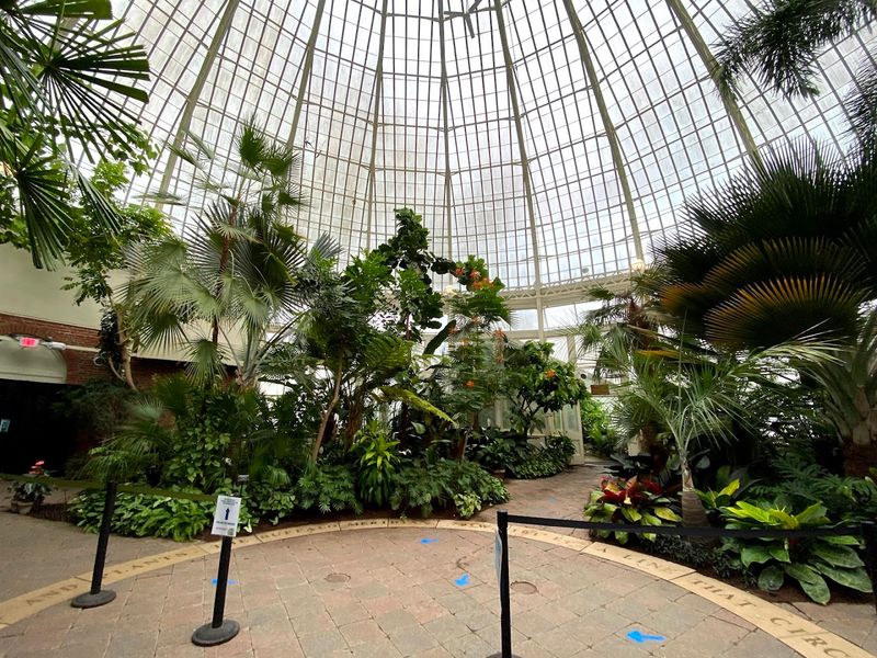 The Towering Palm Dome That Commands Attention