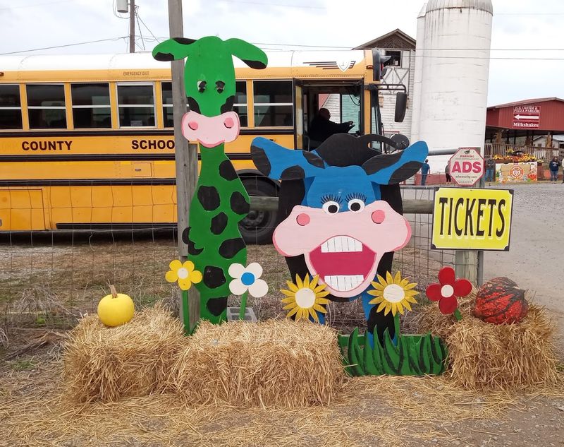 The Apple Cannon Experience Kids Simply Cannot Stop Talking About