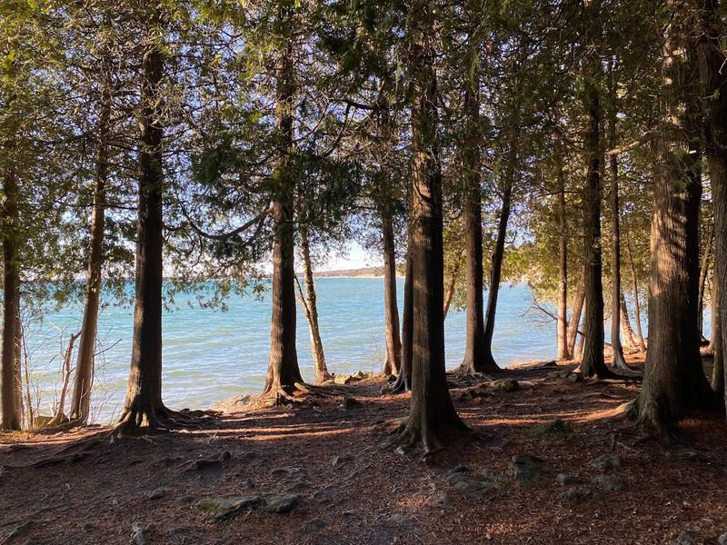 Popular For Birdwatching And Seasonal Wildlife Sightings