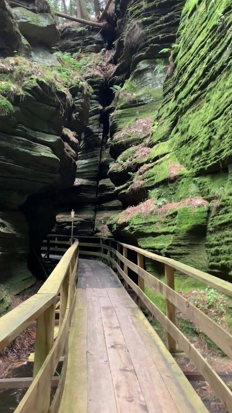 Wooden Walkways Guide Visitors Through The Gorge