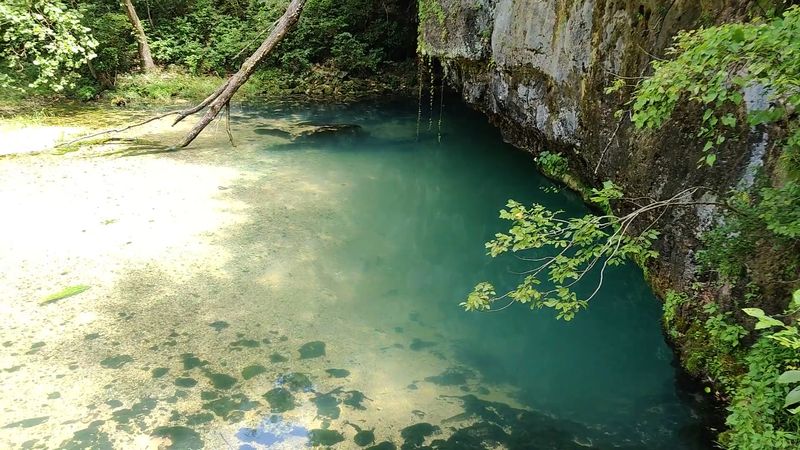 One Of Missouri's Largest Springs Flows Here
