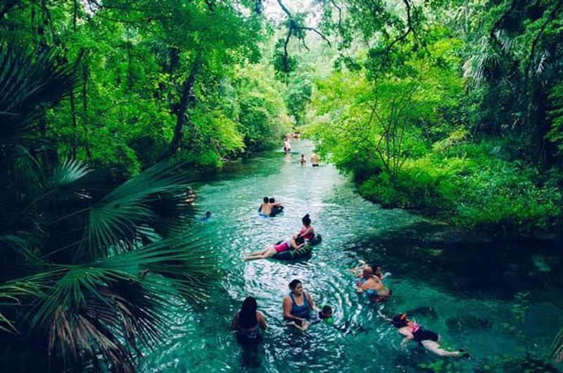 Crystal-Clear Water Flowing Through A Shaded Tropical Landscape
