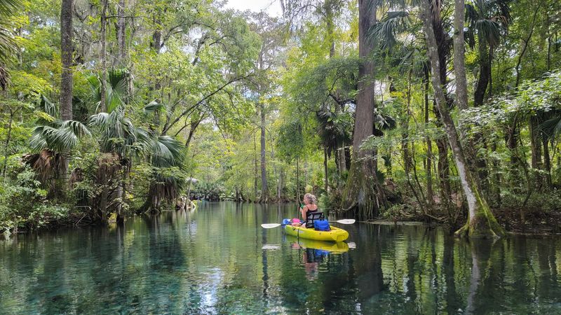 Kayaking And Paddling Through The Silver River