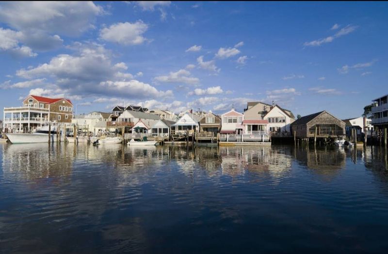 Scenic Boat Tours And Whale Watching Adventures