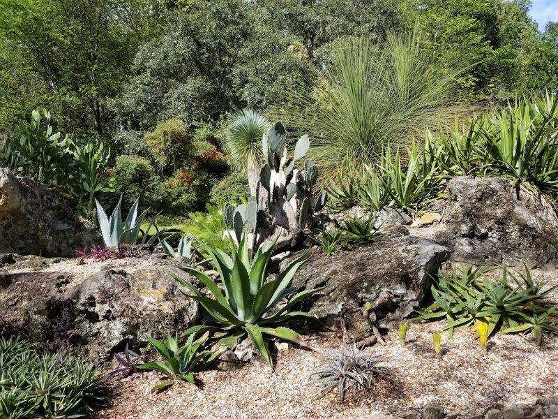 How The Gardens Showcase Plants From Around The World