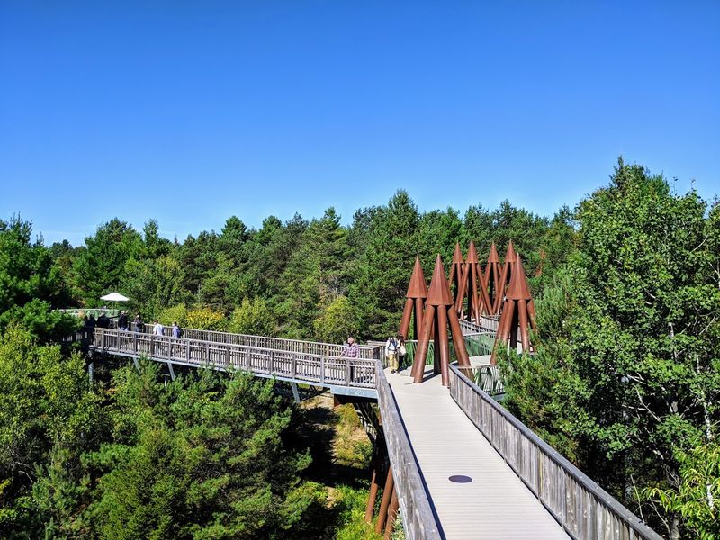 The Wild Walk Elevated Trail Experience