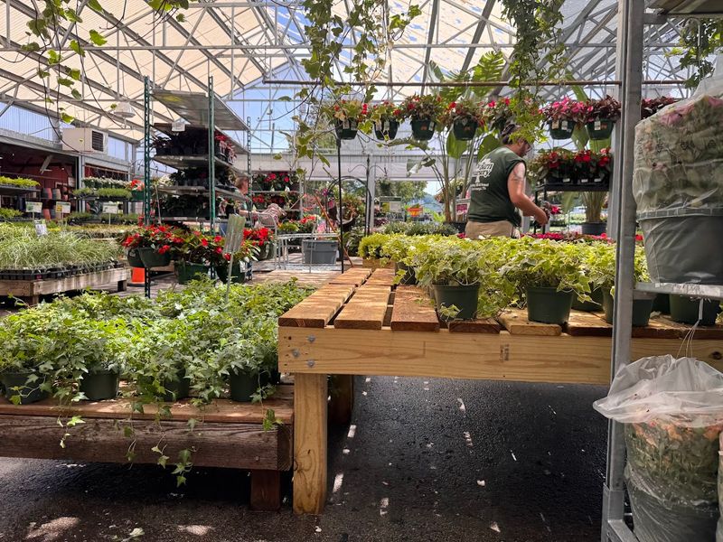 The Atmosphere That Feels Like A Living Garden