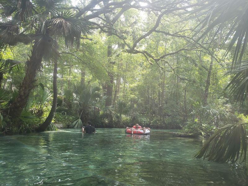 The Scenic Float That Winds Through Lush Forest And Palmettos