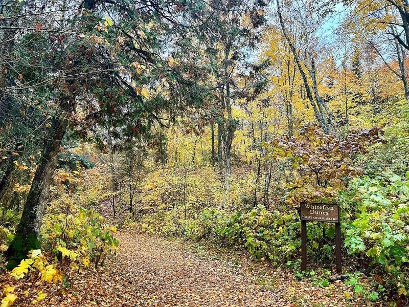 Several Scenic Hiking Trails Through Dunes And Forest