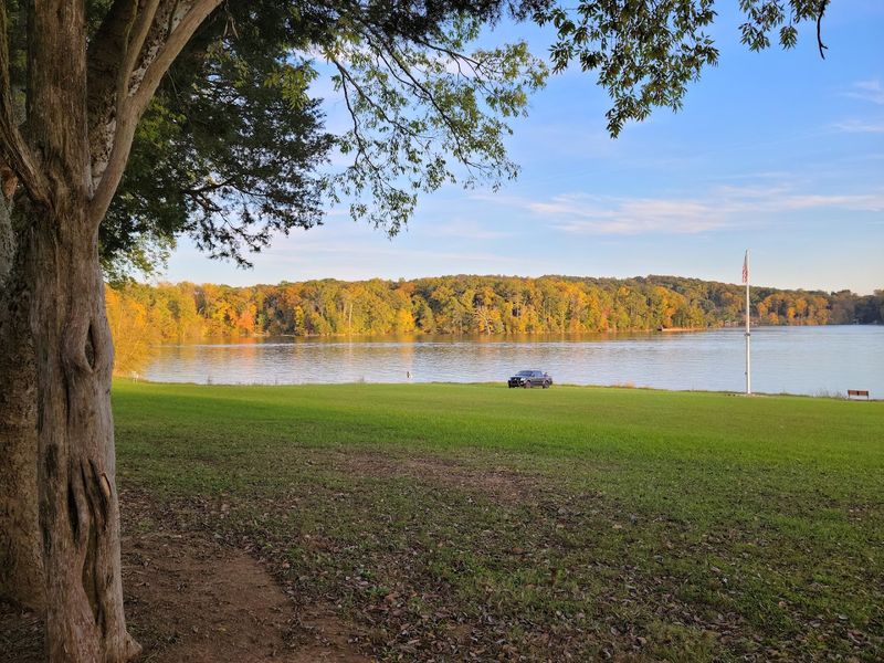 Wildlife And Nature That Share The Shoreline