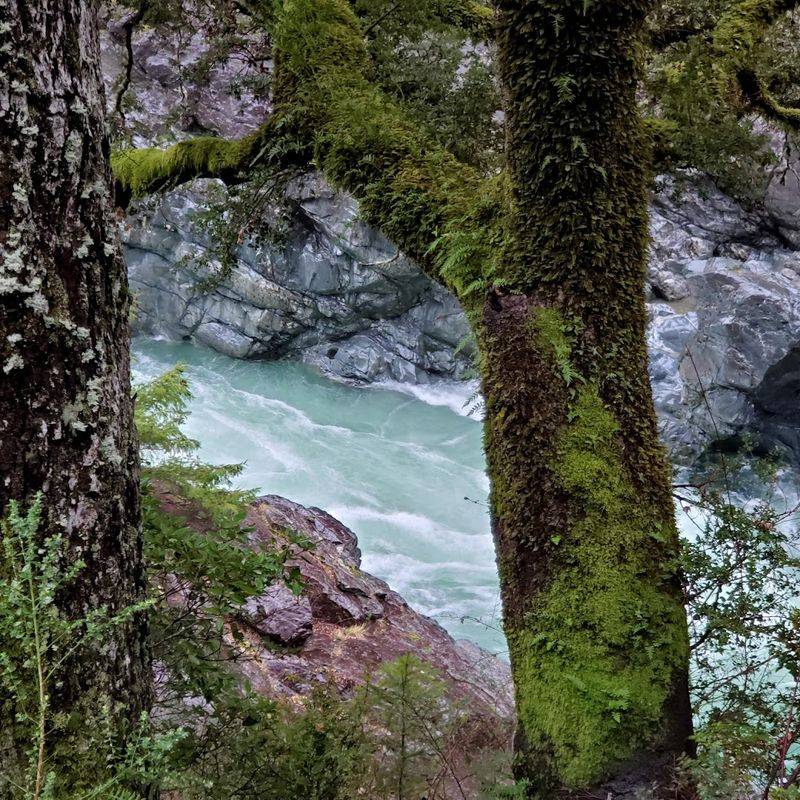 Discover The Untouched Beauty Of The Wild Smith River