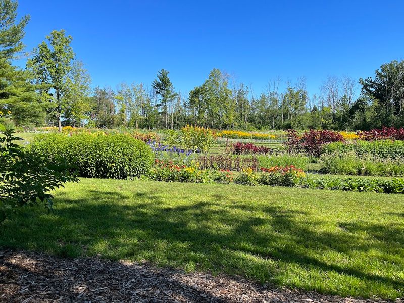 Seasonal Flower Varieties That Change Throughout The Growing Season