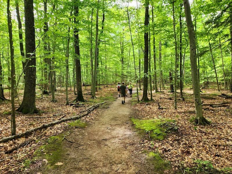 Wooded Paths That Feel Quiet And Secluded