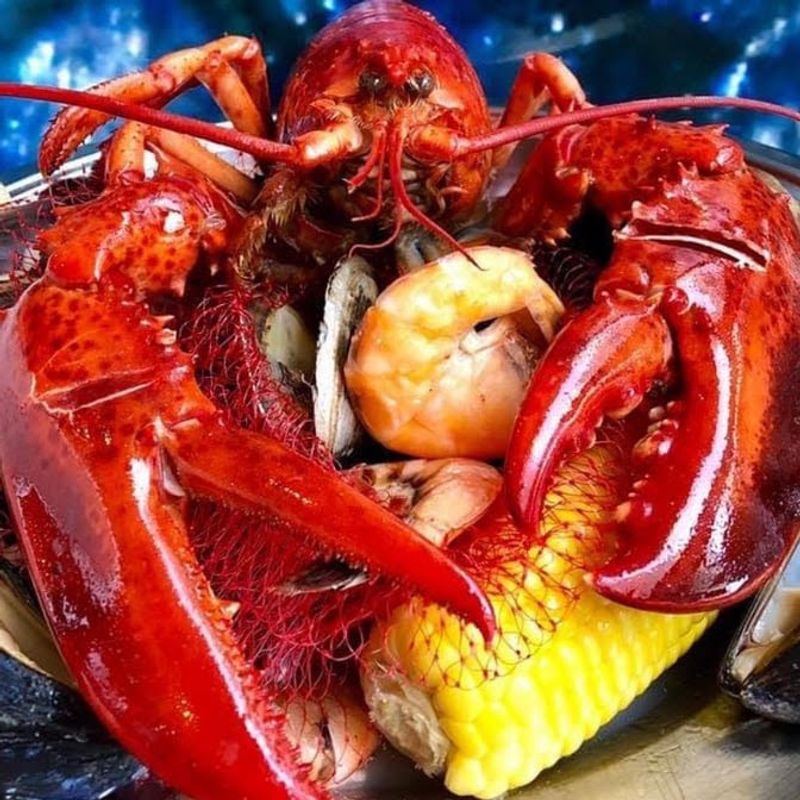 Buoy One New York And Why Everyone Is Talking About It