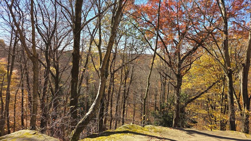 A Trail That Showcases Some Of Ohio's Most Unusual Natural Scenery