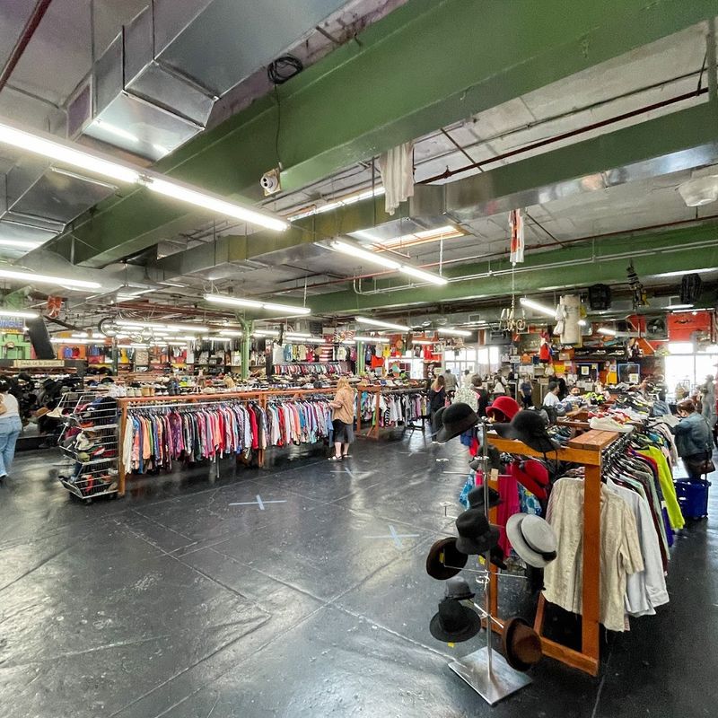 Urban Jungle Brooklyn: What You Need To Know Before You Go