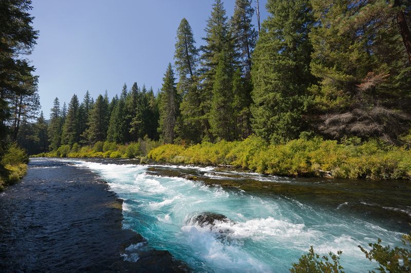 The River Begins At Metolius Springs Near Black Butte