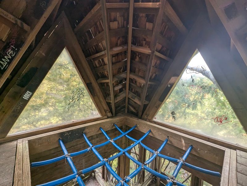 The Wildlife And Seasonal Magic That Surround The Treehouse Year-Round