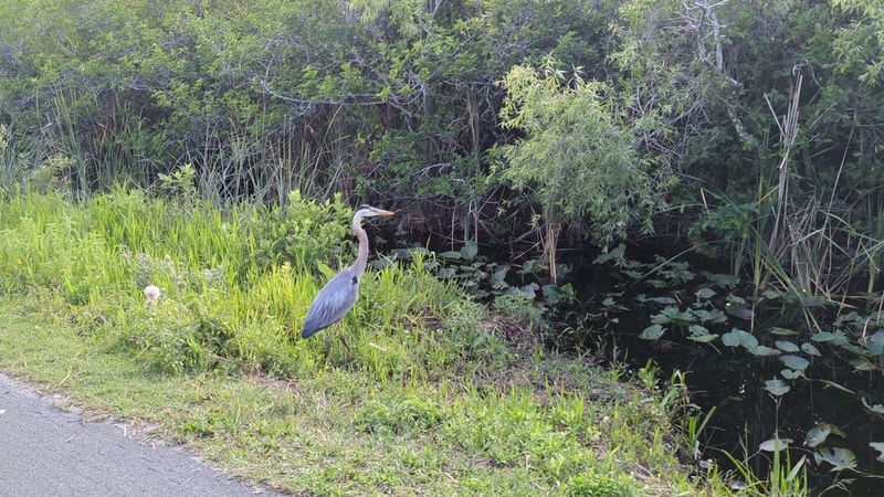 The Flat Terrain Makes The Route Accessible For Most Cyclists