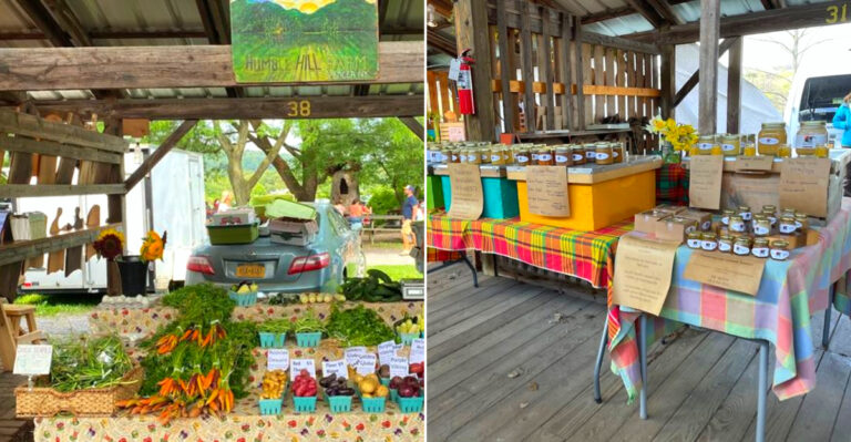 A Trip To This New York Farm Market Feels Like Diving Into A Cozy Countryside Day Trip This Year
