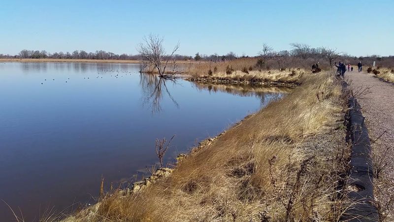 What Makes Jamaica Bay Wildlife Refuge A Must-Visit Destination