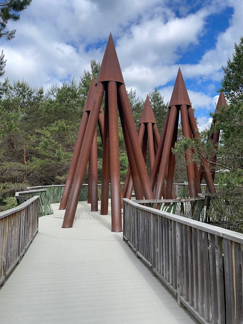 Planning Your Visit To The Wild Center In Tupper Lake