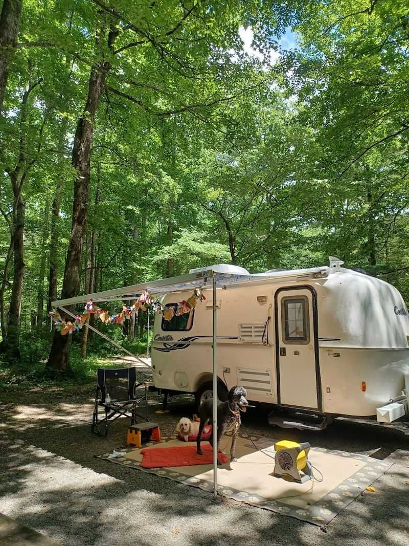 Planning Your Visit And Booking Before Sites Fill Up