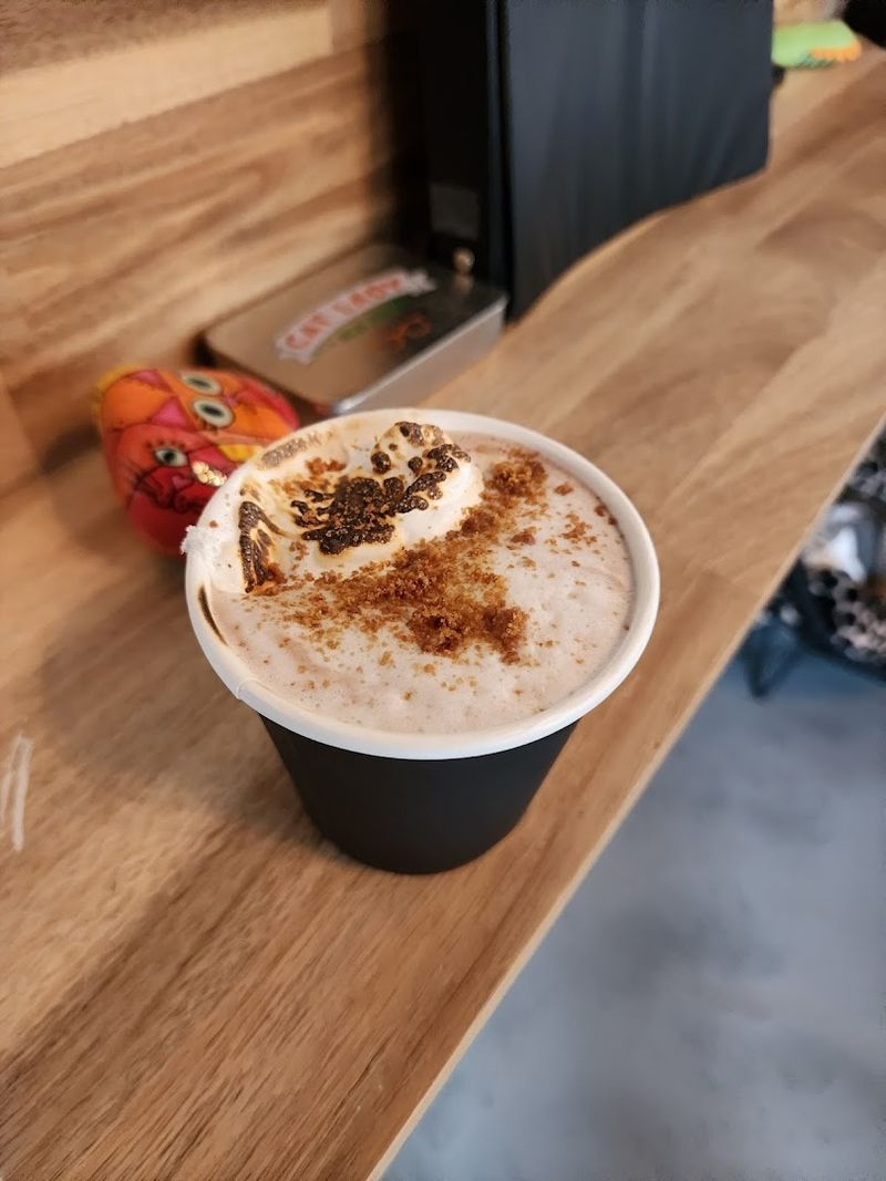 Cats Are Fully Vaccinated, Microchipped, And Ready For Adoption