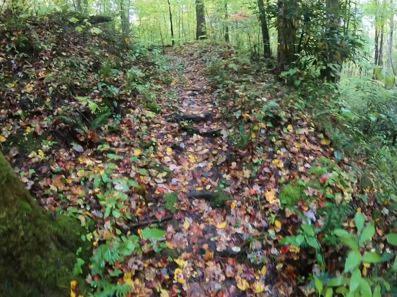 Meigs Mountain Trailhead