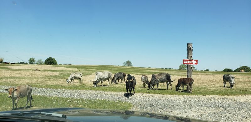 Planning Your Visit To Get The Most Out Of The Day