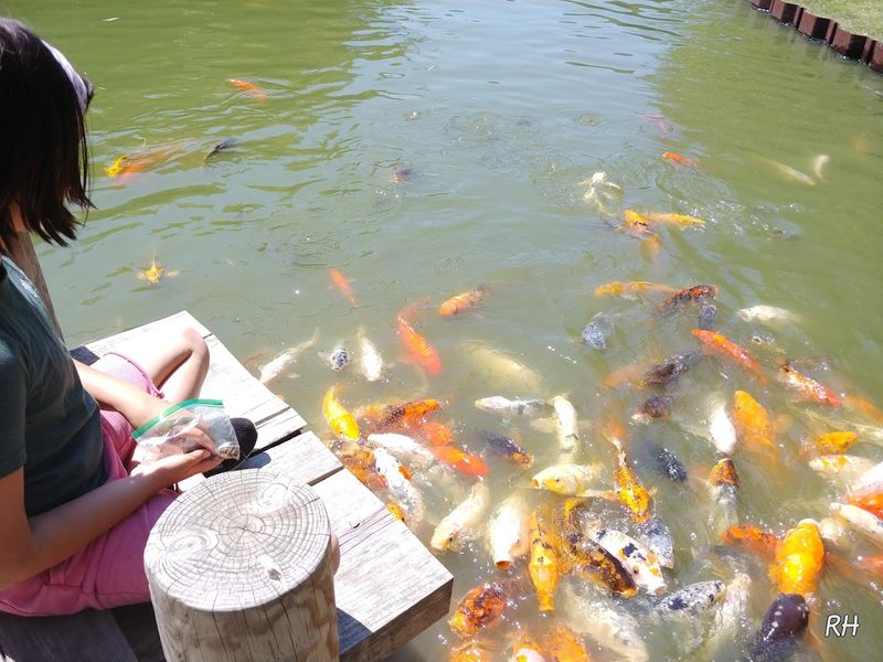 Family-Friendly Features Keep Everyone Engaged